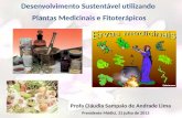 Profa Cláudia Sampaio de Andrade Lima Desenvolvimento Sustentável utilizando Plantas Medicinais e Fitoterápicos Presidente Médici, 31 julho de 2013.