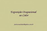 Exposição Ocupacional ao Calor jacira.machado@yahoo.com.br.