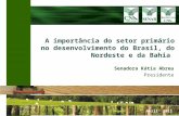 Senadora Kátia Abreu Presidente Abril 2011 A importância do setor primário no desenvolvimento do Brasil, do Nordeste e da Bahia.