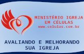Esta é uma ferramenta de consulta e pesquisa Estudo feito em 32 países, com mais de 1000 igrejas A Igreja Irmãos Menonitas de Curitiba foi uma dessas.