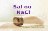Sal ou NaCl Acadêmica: Cristiane Rosa da Silva. O cloreto de sódio ao longo da história!!!!!