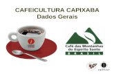 CAFEICULTURA CAPIXABA Dados Gerais. O CAFÉ NO ESPÍRITO SANTO 490 mil hectares 1,16 bilhão de pés de café 11,5 milhões de sacas (Conab, 2011) 27% da safra.
