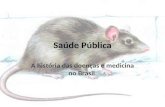 Saúde Pública A história das doenças e medicina no Brasil.