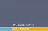 PARASITISMO ECTOPARASITISMO Índice Introdução Hospedeiro e parasita Explicação da relação interespecífica Relação entre os pulgões e as plantas Relação.