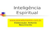 Inteligência Espiritual  Elaboração: Antonio Nascimento.