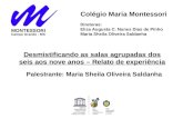 Diretoras:. Eliza Augusta C. Nunes Dias de Pinho Maria Sheila Oliveira Saldanha Colégio Maria Montessori Desmistificando as salas agrupadas dos seis aos.
