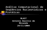 Análise Computacional de Seqüências Nucleotídicas e Protéicas BLAST Antonio Basílio de Miranda 24/11/2004.