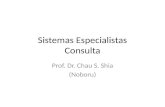 Sistemas Especialistas Consulta Prof. Dr. Chau S. Shia (Noboru)