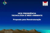 08/11/2007 VICE PRESIDÊNCIA TECNOLOGIA E MEIO AMBIENTE Proposta para Reestruturação.