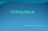 PROFESSOR JOÃO LUIZ. Citologia:é o ramo da Biologia que se ocupa do estudo das células dos seres vivos.