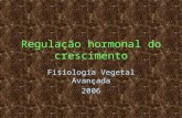 Regulação hormonal do crescimento Fisiologia Vegetal Avançada 2006.