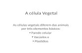 A célula Vegetal As células vegetais diferem das animais por três elementos básicos: Parede celular Vacúolos e Plastídios.
