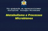 Metabolismo e Processos Microbianos Pós-graduação em Agroecossistemas Disciplina: Ecologia Microbiana.