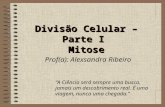 Divisão Celular – Parte I Mitose Prof(a): Alexsandra Ribeiro A Ciência será sempre uma busca, jamais um descobrimento real. É uma viagem, nunca uma chegada.