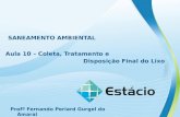 SANEAMENTO AMBIENTAL Aula 10 – Coleta, Tratamento e Disposição Final do Lixo Profº Fernando Periard Gurgel do Amaral.