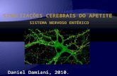 Daniel Damiani, 2010.. Epidemia da Obesidade. Visão Geral do Controle Cerebral. Sensores Nutricionais. Centro Integrador: Hipotálamo. Integração Neuronal.