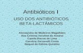 Antibióticos I USO DOS ANTIBIÓTICOS BETA-LACTÂMICOS Alessandra de Medeiros Magalhães Ana Cristina Vervloet do Amaral Camila Rocon de Lima Carolina Zorzanelli.