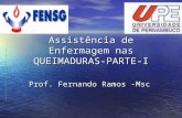 Assistência de Enfermagem nas QUEIMADURAS-PARTE-I Prof. Fernando Ramos -Msc.