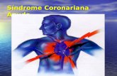 Síndrome Coronariana Aguda. DEFINIÇÃO Constelação de sintomas clínicos que são compatíveis com isquemia aguda do miocárdio: Constelação de sintomas clínicos.