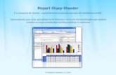 Report Sharp-Shooter É o campeão de vendas, mundialmente conhecido gerador de relatórios em.NET. Desenvolvido para criar aplicativos de BI flexíveis e.