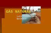 GÁS NATURAL Luiz Fernando - Químico. O Gás Natural