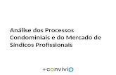 Análise dos Processos Condominiais e do Mercado de Síndicos Profissionais.