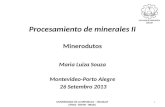 Procesamiento de minerales II Minerodutos Maria Luiza Souza Montevideo-Porto Alegre 26 Setembro 2013 1 UNIVERSIDADE DE LA REPUBLICA – URUGUAY UFRGS - DEMIN.