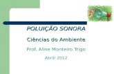 POLUIÇÃO SONORA Ciências do Ambiente POLUIÇÃO SONORA Ciências do Ambiente Prof. Aline Monteiro Trigo Abril/ 2012.