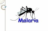 Malária Doença infecciosa potencialmente grave: Causada por protozoários do gênero Plasmodium Transmitidos pela picada do mosquito Anopheles. Grande problema.