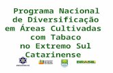 Programa Nacional de Diversificação em Áreas Cultivadas com Tabaco no Extremo Sul Catarinense.