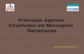 Principais Agentes Envolvidos em Meningites Bacterianas blog do professor: .