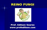 REINO FUNGI Prof. Edilson Soares .