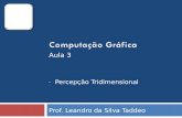 Prof. Leandro da Silva Taddeo – Percepção Tridimensional Aula 3.