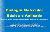 Biologia Molecular Básica e Aplicada Primeira Oficina de Trabalho das Redes Nacionais de Laboratórios Dra. Maria Inês de Moura Campos Pardini Pesquisadora.