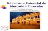 Números e Potencial de Mercado - Sorocaba Luis Alberto Perez Alves Autor dos Livros Digitais de Lentes de Contato.