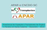 APAR e CNCDO-SC Estatísticas de Captação e Transplantes de Órgãos e Tecidos em Santa Catarina Dezembro - 2013.
