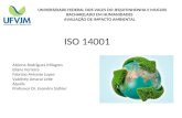UNIVERSIDADE FEDERAL DOS VALES DO JEQUITINHONHA E MUCURI BACHARELADO EM HUMANIDADES AVALIAÇÃO DE IMPACTO AMBIENTAL ISO 14001 Alcione Rodrigues Milagres.