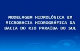 MODELAGEM HIDROLÓGICA EM MICROBACIA HIDROGRÁFICA DA BACIA DO RIO PARAÍBA DO SUL.