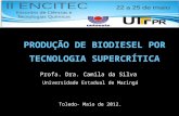 PRODUÇÃO DE BIODIESEL POR TECNOLOGIA SUPERCRÍTICA Profa. Dra. Camila da Silva Universidade Estadual de Maringá Toledo- Maio de 2012.