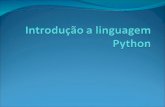 Objetivos do mini curso Conhecer a linguagem. Noção de programação utilizando Python. Aprender o báscio.