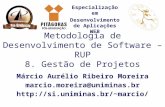 Especialização em Desenvolvimento de Aplicações WEB Metodologia de Desenvolvimento de Software – RUP 8. Gestão de Projetos Márcio Aurélio Ribeiro Moreira.