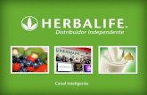 Canal Inteligente. Bem-vindo ao Treinamento para a nova ferramenta de abertura de chamados, solicitações e informações da Herbalife que é o Canal Inteligente.