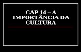 CAP 14 – A IMPORTÂNCIA DA CULTURA. 1. Cultura Humana A organização em grupos e o desenvolvimento da cultura foram alguns dos fatores que favoreceram a.