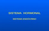 SISTEMA HORMONAL SISTEMA ENDÓCRINO. Glândulas e hormônios O sistema endócrino é formado pelo conjunto de glândulas endócrinas, as quais são responsáveis.