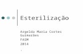 1 Esterilização Argelda Maria Cortes Guimarães FASM 2014.