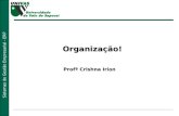 Sistemas de Gestão Empresarial - ERP Organização! Profª Crishna Irion.