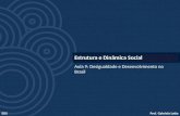 Prof. Gabriela LottaEDS Aula 9: Desigualdade e Desenvolvimento no Brasil Estrutura e Dinâmica Social.