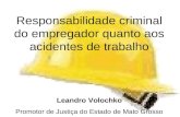 Responsabilidade criminal do empregador quanto aos acidentes de trabalho Leandro Volochko Promotor de Justiça do Estado de Mato Grosso.