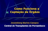 Como Funciona a Captação de Órgãos Como Funciona a Captação de Órgãos Josemberg Marins Campos Central de Transplantes de Pernambuco.