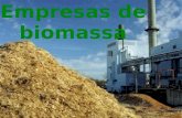 Empresas de biomassa. O que é a biomassa? É uma energia renovável porque oferece grande disponibilidade e garantia Energia que se obtém através da transformação.